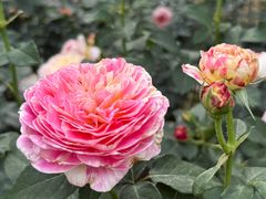 -人民公园(罗湖区)