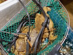 -三妹小龙虾·黄油蟹(华侨城总店)