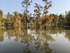 -上海长兴岛郊野公园