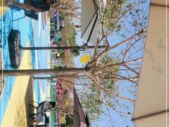 -水上乐园·欢乐世界