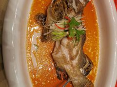 清蒸老虎斑-广州逸林假日酒店·四季桃源中餐厅(白云山风景区店)