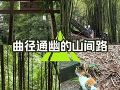 -凤栖山