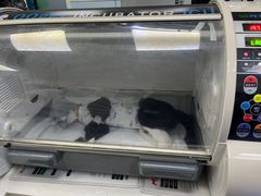 -中农国际动物医院24小时·猫科·骨科·急重症中心