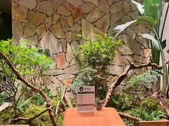 -森SPA·泰式按摩·精油Massage(宝安中心店)