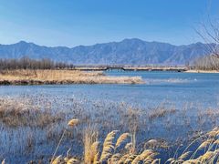 -野鸭湖国家湿地公园