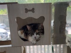 -暖阳宠物医院·犬猫康复中心·骨科