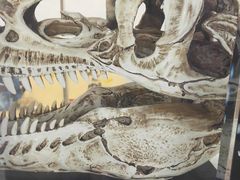 -斯坦星球AI编程·机器人科创·科学实验·信奥·思维·STEM·乐高·竞赛考级(长宁虹桥大融城荟聚中心)