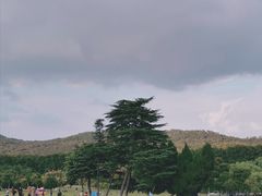 -钟山体育运动公园