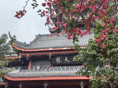 -塔子山公园