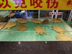 景观位-洪湘记川湘·甲鱼馆(四海凯悦美食广场店)