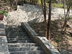 -白水寺森林公园