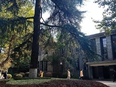 -南京中国近代史遗址博物馆(南京总统府)