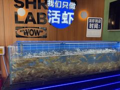 -0048鲜活香辣虾·火锅(铜陵路店)