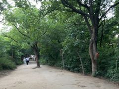 -灵岩山风景区