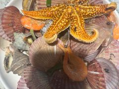 -悦海·家宴·冰花皮皮虾大锅贴(宝龙店)