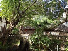 -土城古镇