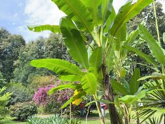 -中国科学院西双版纳热带植物园