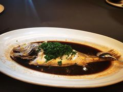 东海大黄鱼-晶采轩(虹桥路店)