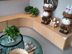 -飞行喵MR PILOT|猫舍·猫咖(静安大融城店)