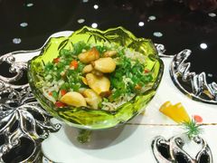 凉拌毛肚-家缘大酒店(新天地不夜城店)