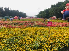 -海上田园