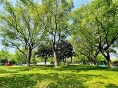 -昆山城市公园