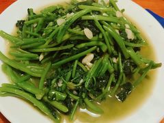 红薯苗-温州一家人美食(西木头市店)