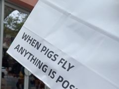 -WHEN PIGS FLY当猪飞