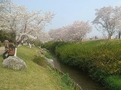 -北极阁公园