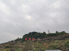 -枇杷园食为鲜火锅(南山店)