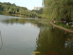 -月牙潭公园