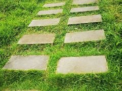 -桤木河湿地公园