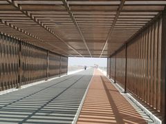 -南大港湿地风景区