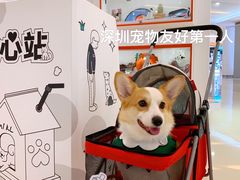 -深圳龙华星河COCO City(民治店)