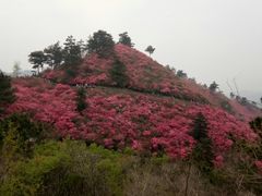 -木兰云雾山