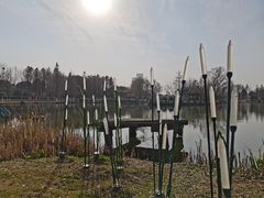 -滨湖塘西河公园
