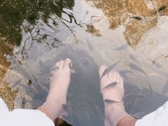 -西安国际创新人才交流中心•药浴温泉