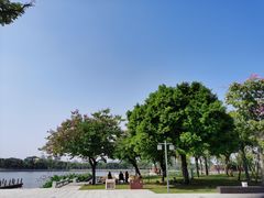 -顺峰山公园