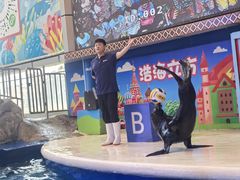 -成都浩海立方海洋公园