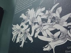 -星巴克(北京新东安)
