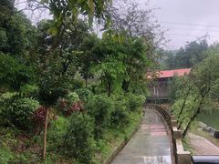 -广州市帽峰山景区