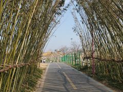 -红山体育乐园