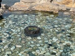 -百脉泉景区