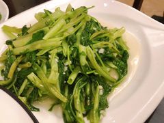 -新聚丰菜馆(太监弄店)