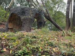 -中国大熊猫保护研究中心雅安碧峰峡基地