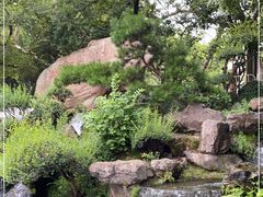 -江心屿景区
