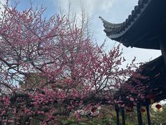 -台州府城(东湖)
