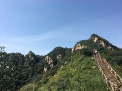 -大岭沟猕猴桃谷风景区