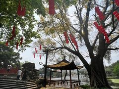 -荔湾湖公园