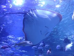 -顺德南宏海立方海洋公园